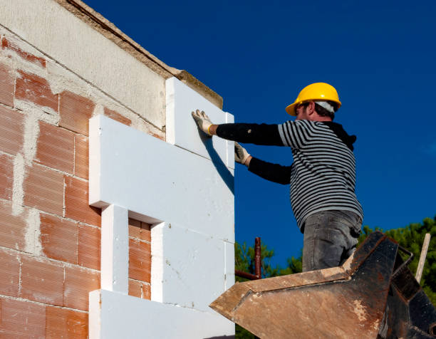 Best Attic Insulation Installation  in Dumas, TX