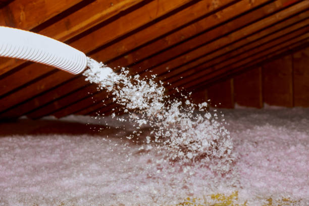 Best Professional Insulation Contractor  in Dumas, TX