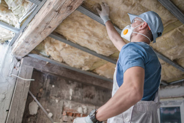 Best Best Insulation Companies  in Dumas, TX