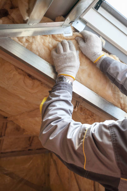 Best Soundproof Insulation Installation  in Dumas, TX