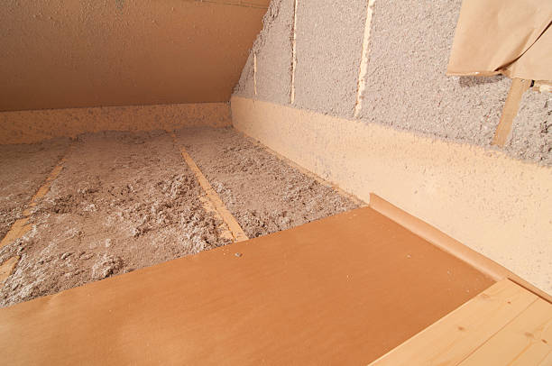 Best Insulation Removal  in Dumas, TX