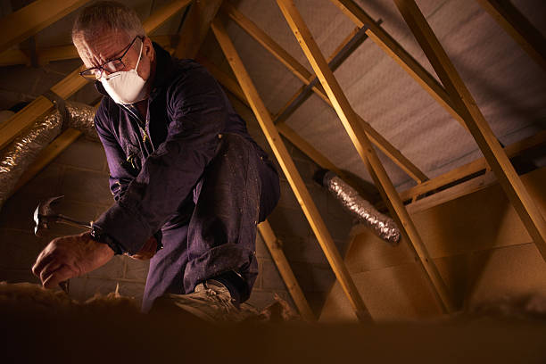 Best Insulation Replacement Services  in Dumas, TX