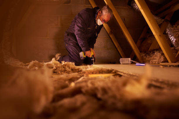 Professional Insulation Contractor in Dumas, TX